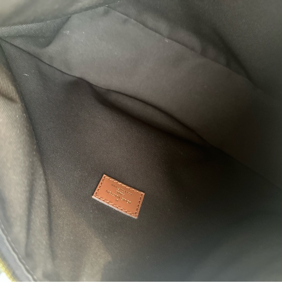 Louis Vuitton Loop Hobo - Picture 9 of 16